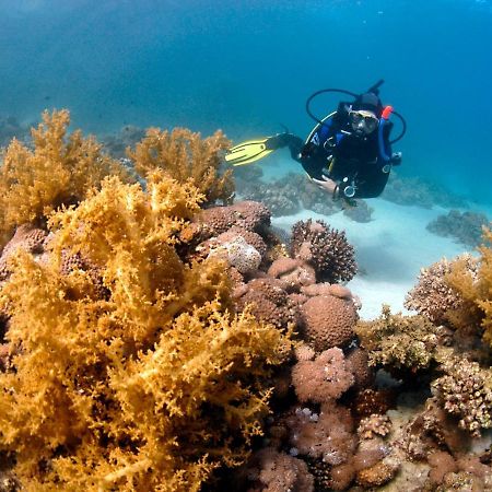 Dive Urge Hotel Dahab Eksteriør billede