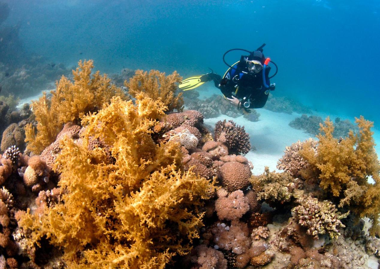 Dive Urge Hotel Dahab Eksteriør billede