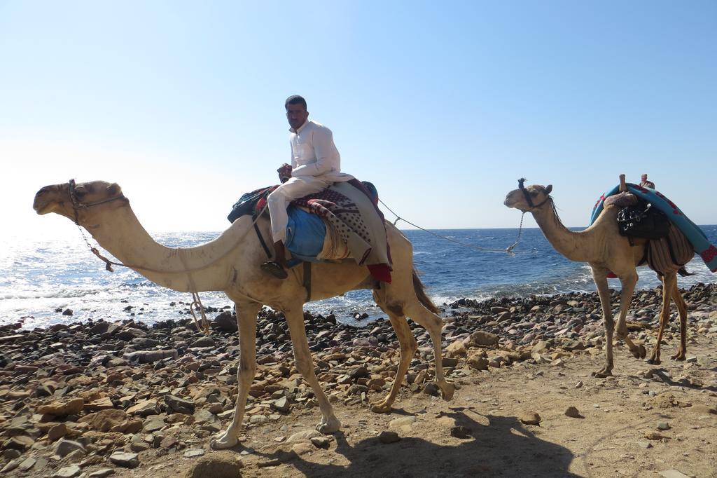 Dive Urge Hotel Dahab Eksteriør billede