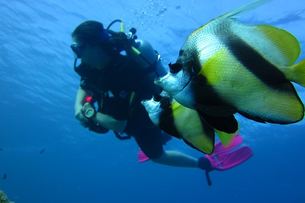 Dive Urge Hotel Dahab Eksteriør billede