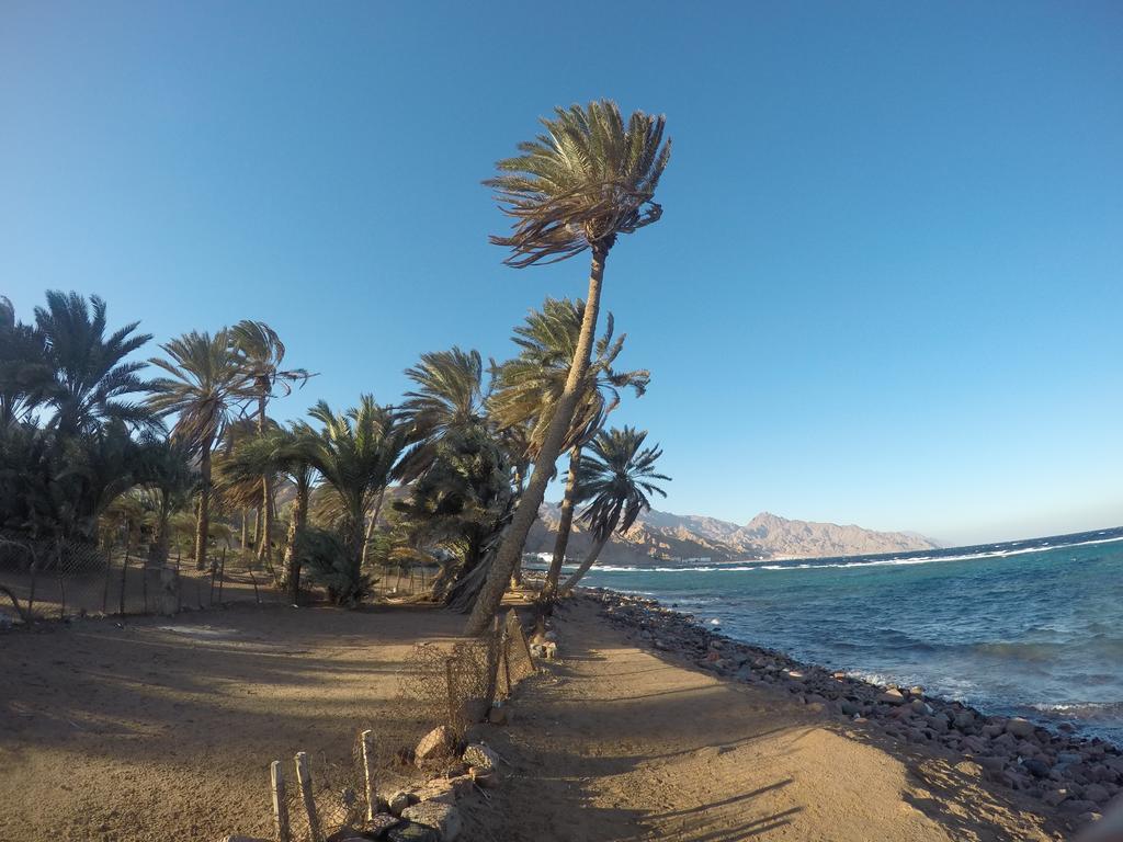 Dive Urge Hotel Dahab Eksteriør billede